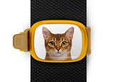 Abyssinian Cat Stwrap