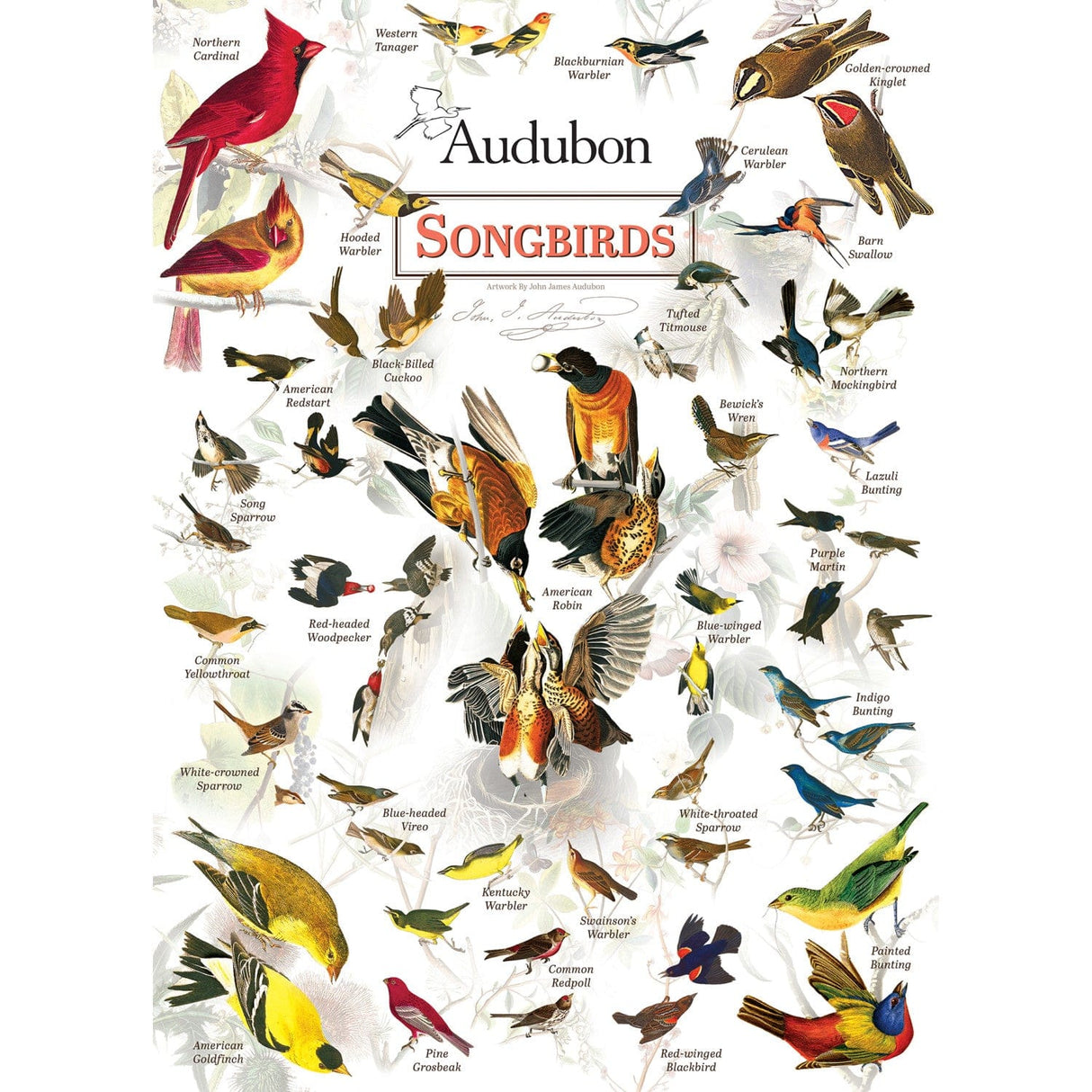 Audubon - Songbirds 1000 Piece Jigsaw Puzzle
