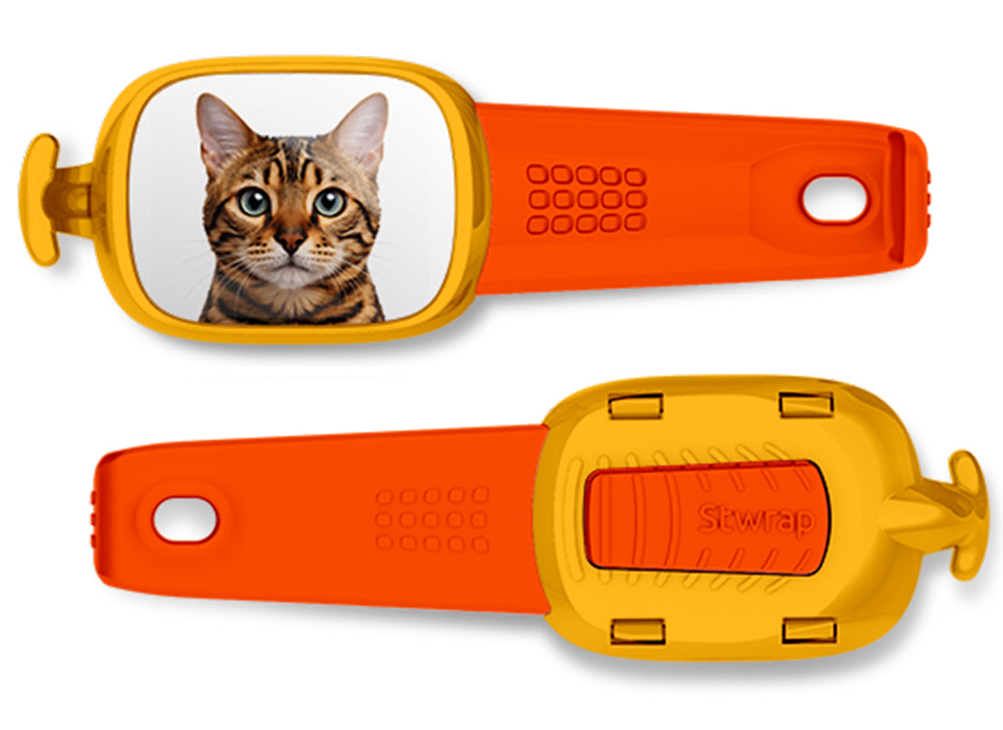 Bengal Cat Stwrap