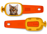 Bengal Cat Stwrap