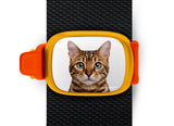 Bengal Cat Stwrap