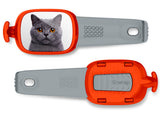 British Shorthair Cat Stwrap