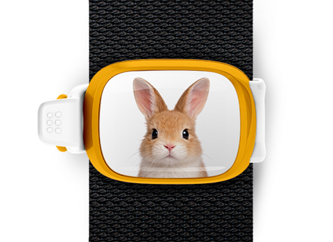 Bunny Stwrap
