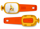 Cockatiel Stwrap
