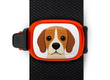 Beagle Stwrap