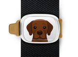 Chocolate Lab Stwrap