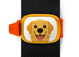 Golden Retriever Stwrap