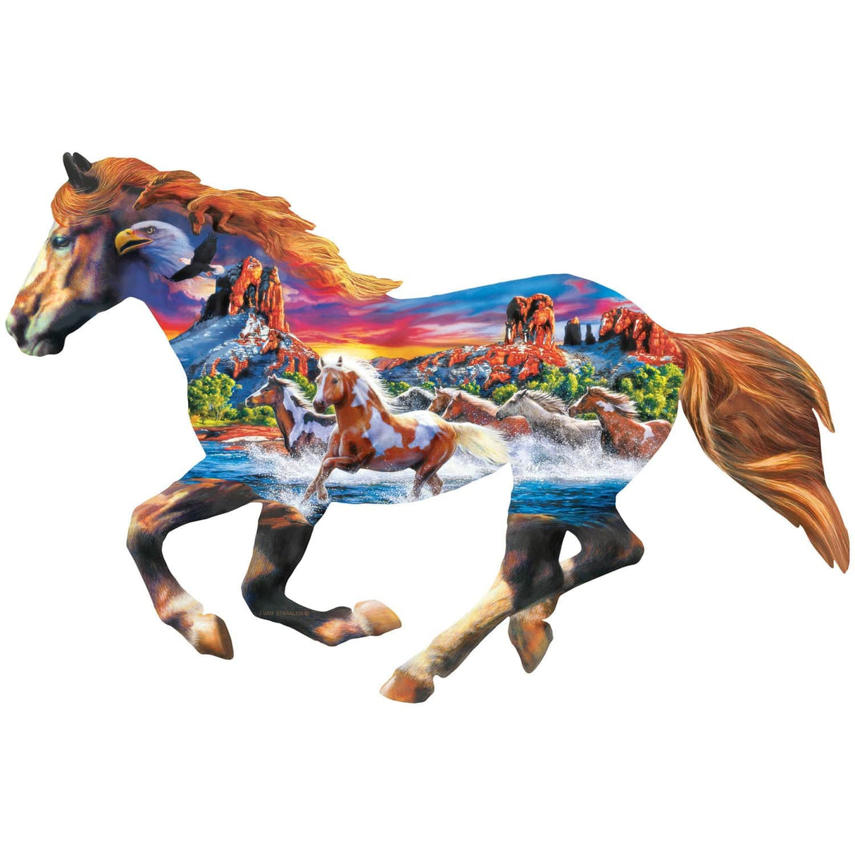 Shapes - Sedona Spirit 1000 Piece Shaped Jigsaw Puzzle