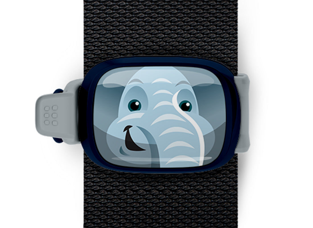 Elephant Stwrap