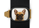 French Bulldog Stwrap