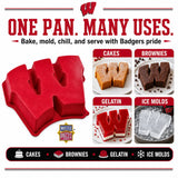Wisconsin Badgers Cake Pan