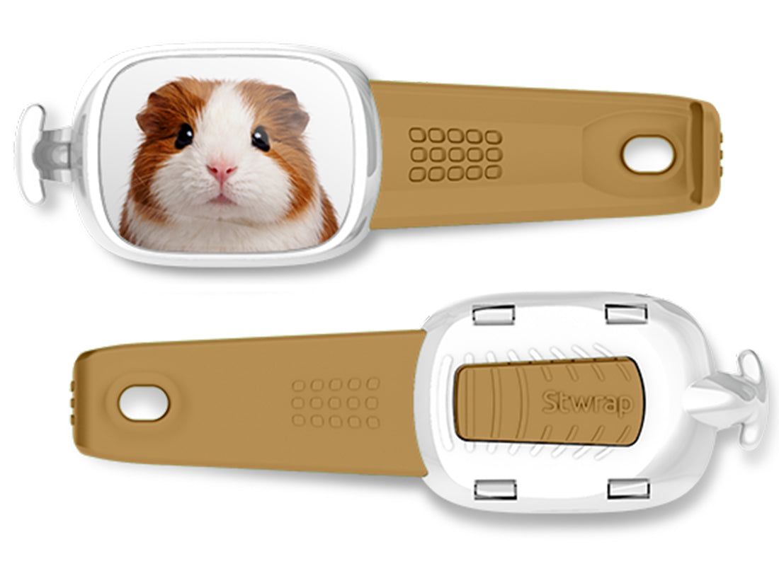 Guinea Pig Stwrap