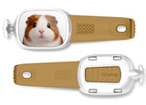 Guinea Pig Stwrap