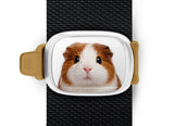 Guinea Pig Stwrap
