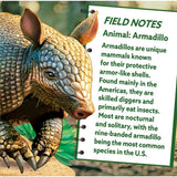 Armadillo 100 Piece Shaped Jigsaw Puzzle