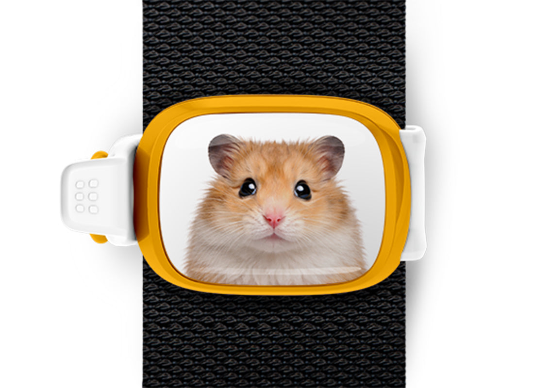 Hamster Stwrap