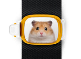 Hamster Stwrap