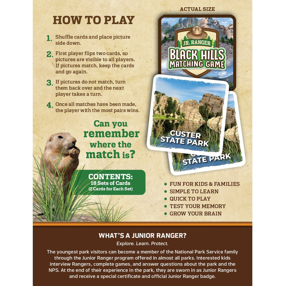 Jr Ranger - Black Hills Matching Game