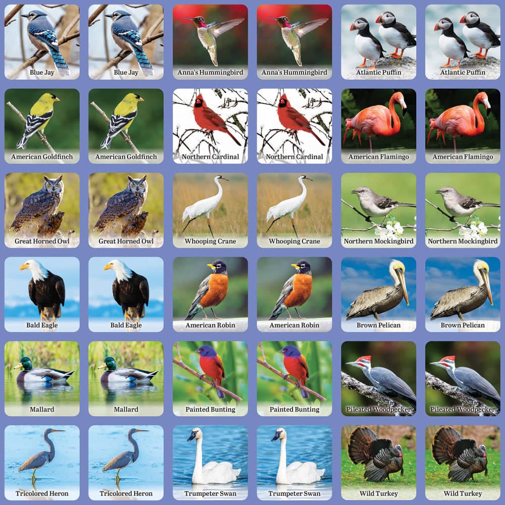 Audubon - Bird Matching Game
