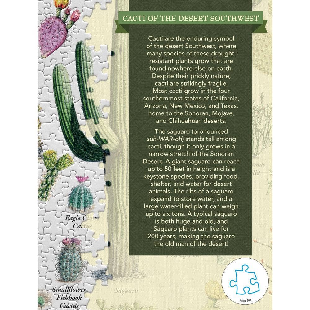 Cacti of the Desert Southwest 1000 Piece Jigsaw Puzzle