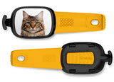Maine Coon Cat Stwrap