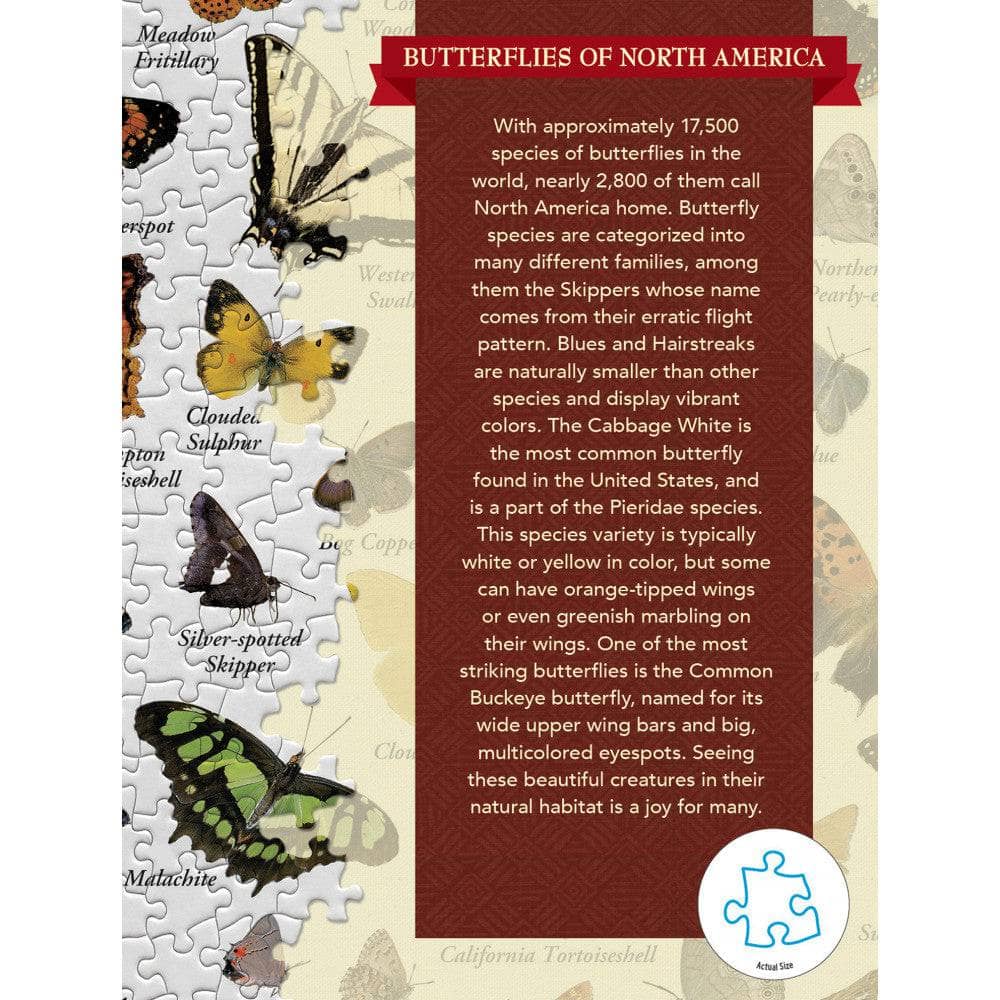 Butterflies of North America 1000 Piece Jigsaw Puzzle