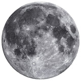 Solar System - The Moon 1000 Piece Round Jigsaw Puzzle