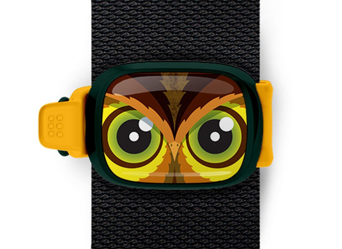 Einstein the Owl Stwrap