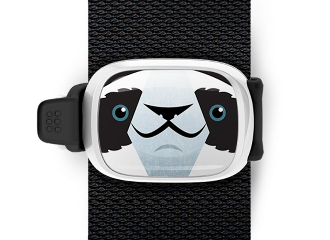 Parker the Panda Bear Stwrap