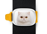 Persian Cat Stwrap