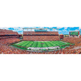 South Carolina Gamecocks - 1000 Piece Panoramic Jigsaw Puzzle