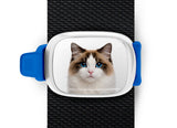 Ragdoll Cat Stwrap