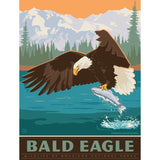 Bald Eagle 300 Piece Jigsaw Puzzle