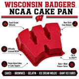 Wisconsin Badgers Cake Pan