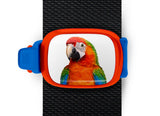 Scarlet Macaw Stwrap