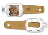 Scottish Fold Cat Stwrap