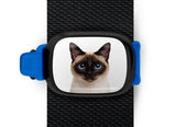 Siamese Cat Stwrap