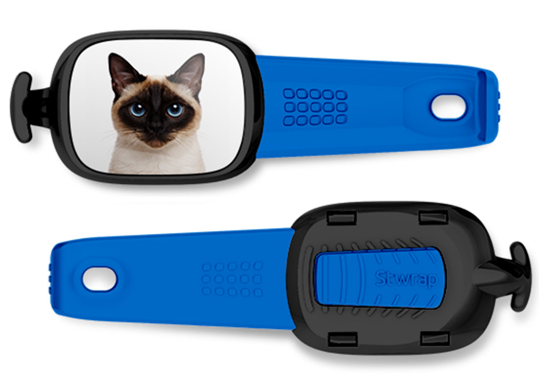 Siamese Cat Stwrap