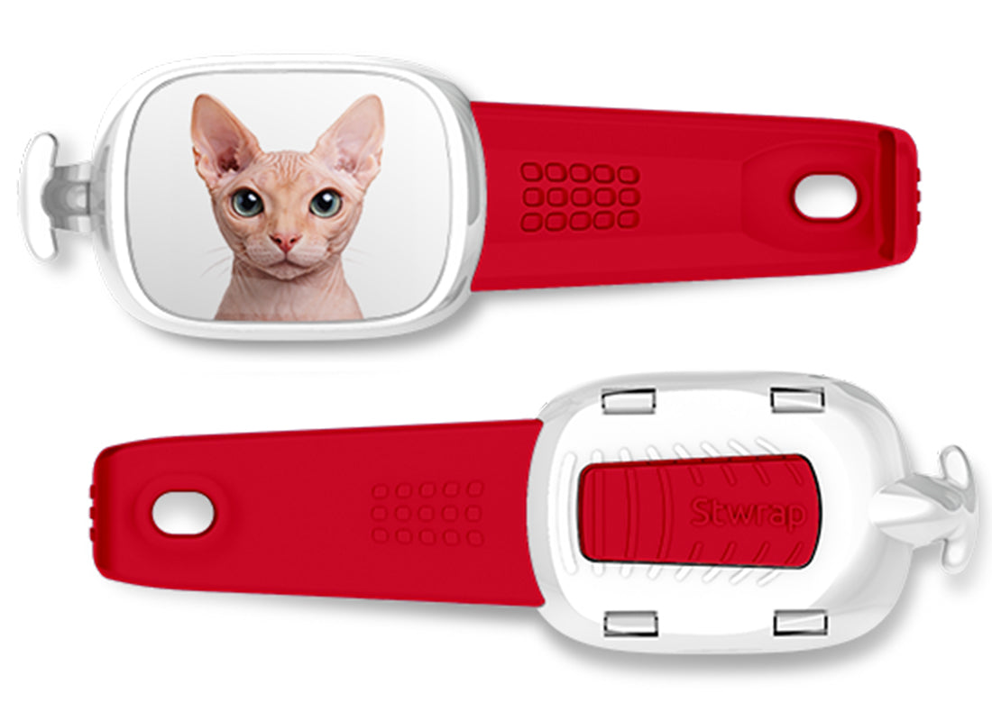 Sphynx Cat Stwrap