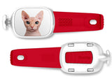 Sphynx Cat Stwrap