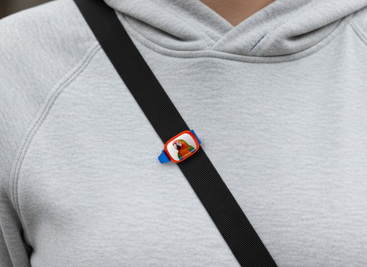 Scarlet Macaw Stwrap