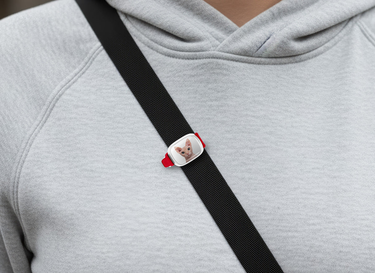 Sphynx Cat Stwrap