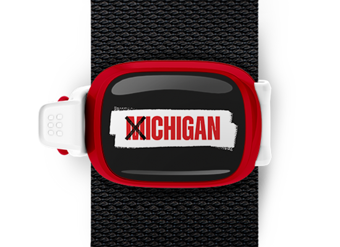 X Ichigan Stwrap