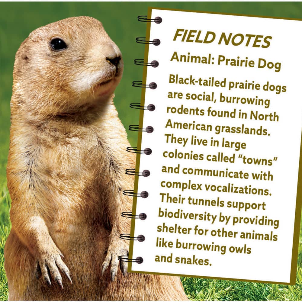 Prairie Dog 100 Piece Shaped Jigsaw Puzzle
